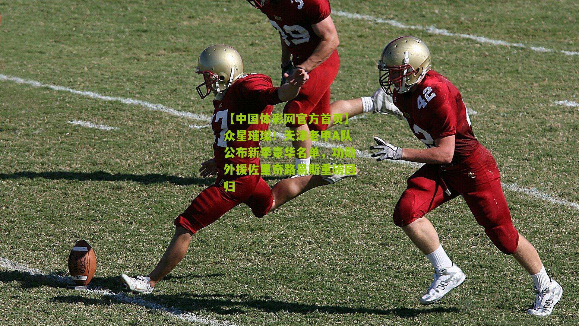 众星璀璨!天津老甲A队公布新季豪华名单,功勋外援佐里奇路易斯重磅回归