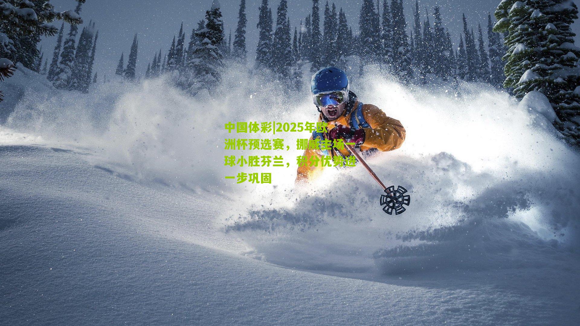 2025年欧洲杯预选赛,挪威主场一球小胜芬兰,积分优势进一步巩固