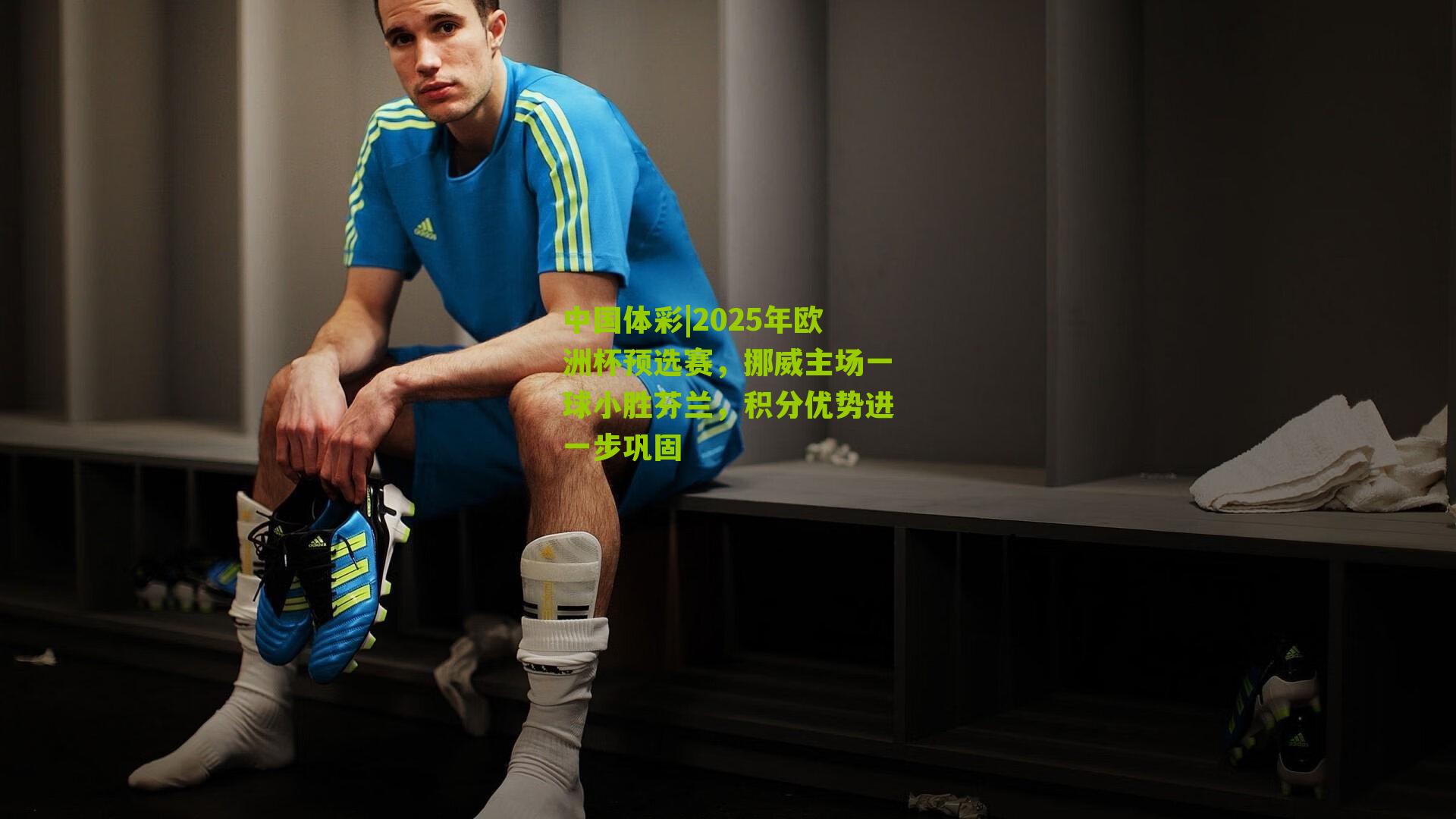 2025年欧洲杯预选赛,挪威主场一球小胜芬兰,积分优势进一步巩固