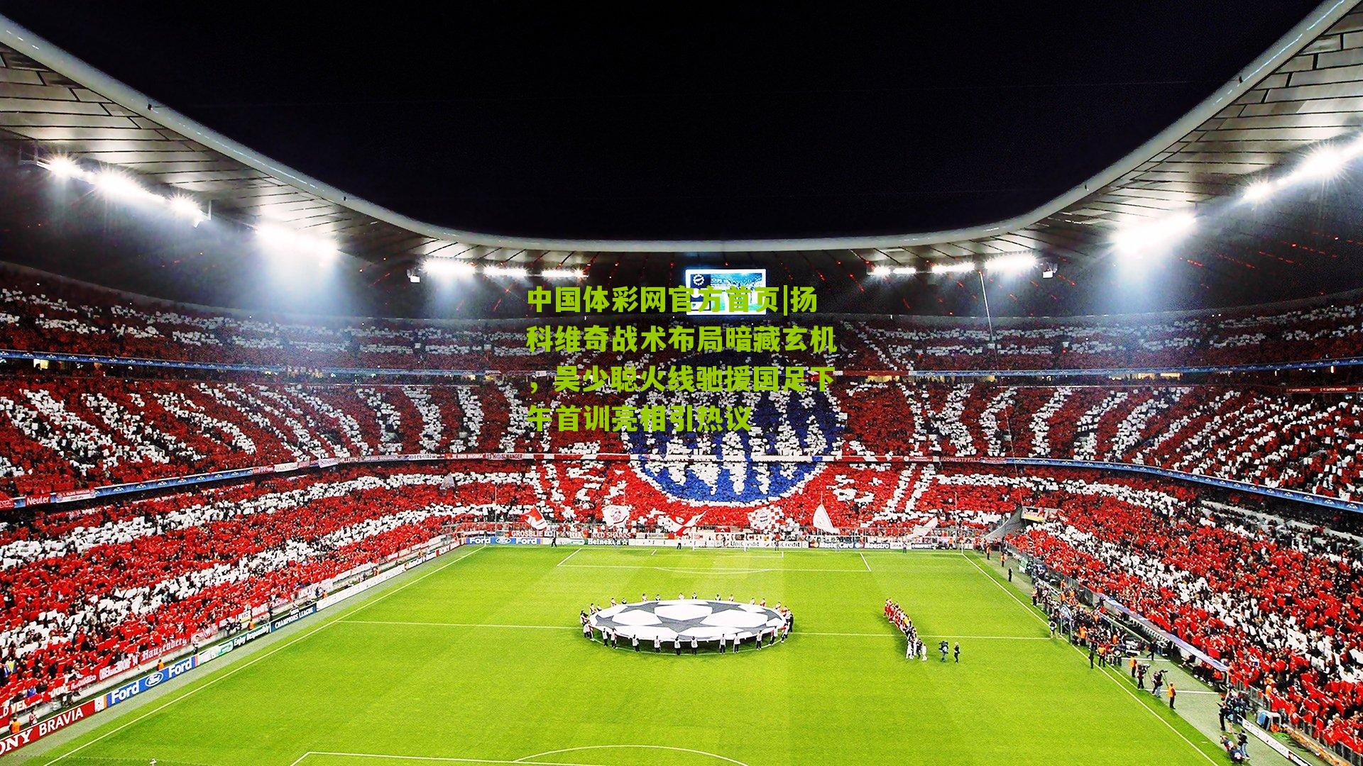 扬科维奇战术布局暗藏玄机，吴少聪火线驰援国足下午首训亮相引热议